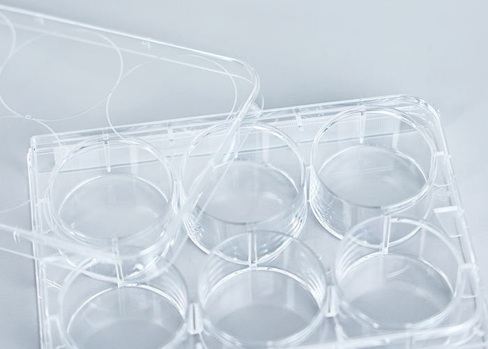 Cell Culture Plate - Sterile TC treated Stackable