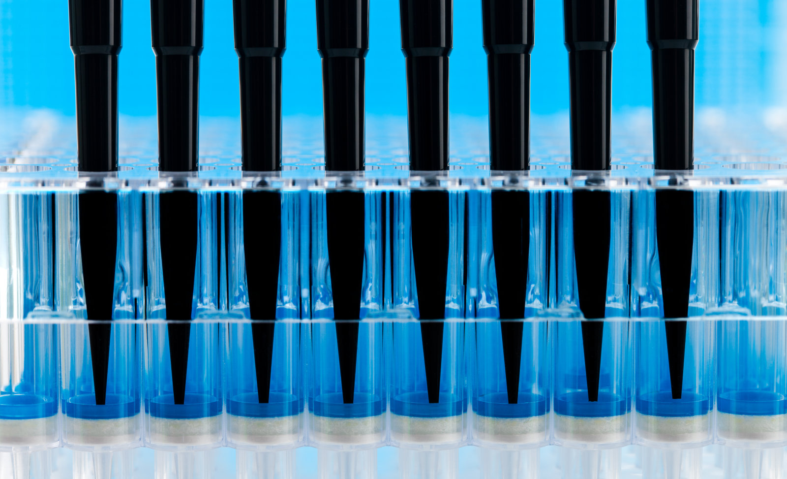 Comprehensive Guide to Laboratory Pipette Tips: Detailed Explanation of Types, Applications, and Selection Criteria